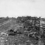 Antietam, Confederate Dead By a Fence On the Hagerstown Road