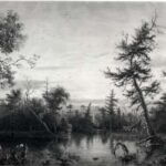 View, Dismal Swamp, North Carolina