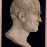 Dr. Spurzheim–Divisions of the Organs of Phrenology Marked Externally