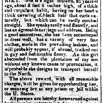 Runaway Notice for Harriet Jacobs; Copy from the American Beacon July 4th, 1835