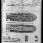 Stowage of the British Slave Ship Brookes Under the Regulated Slave Trade Act of 1788