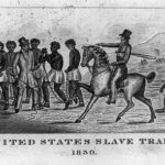 United States Slave Trade