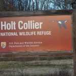 The Forgotten Legend Of Holt Collier